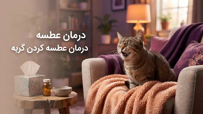 عطسه در گربه